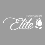 Cliente Floricultura Elite